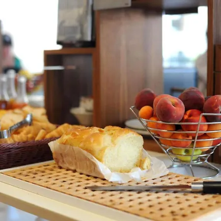 Logis Du Haut-bugey 酒店 奥约纳科斯