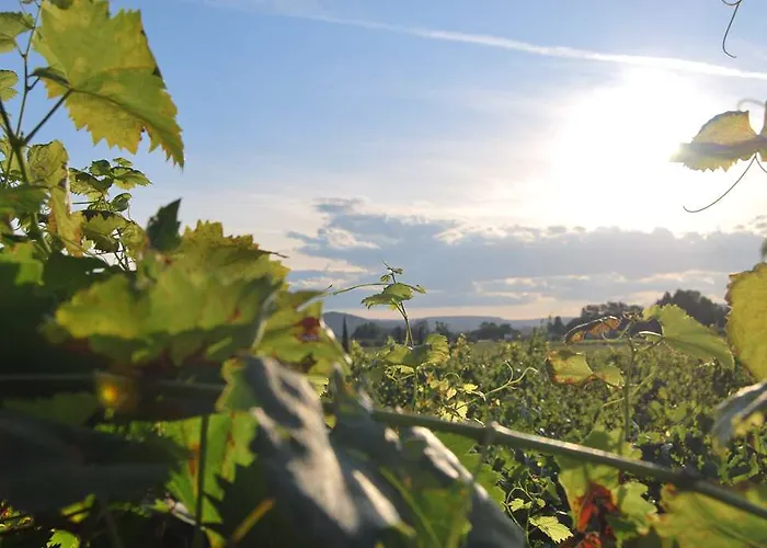 Logis Du Haut-bugey 3*