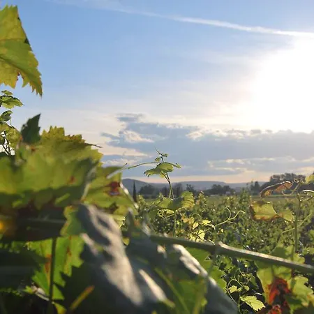 Logis Du Haut-bugey 3*